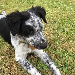 Meet your Posher, Kassidy